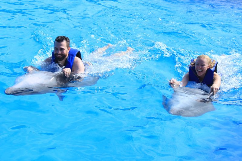 Swimming With Dolphins in Mexico