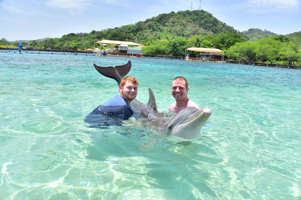 Swimming With Dolphins
