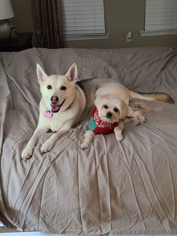 Kita & Theo