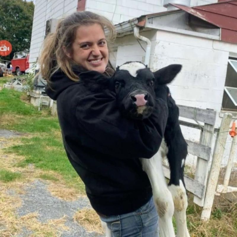 Helping With the Calves at the Family Farm