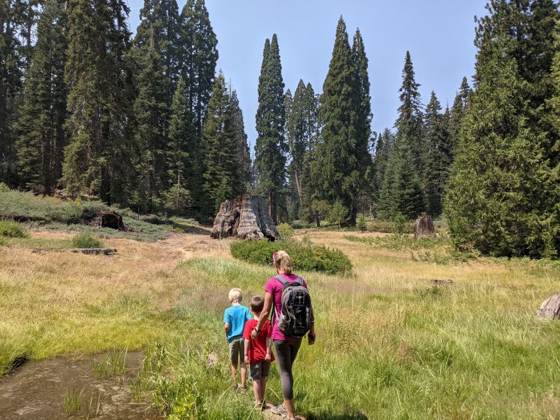 Hiking in Yosemite National Park