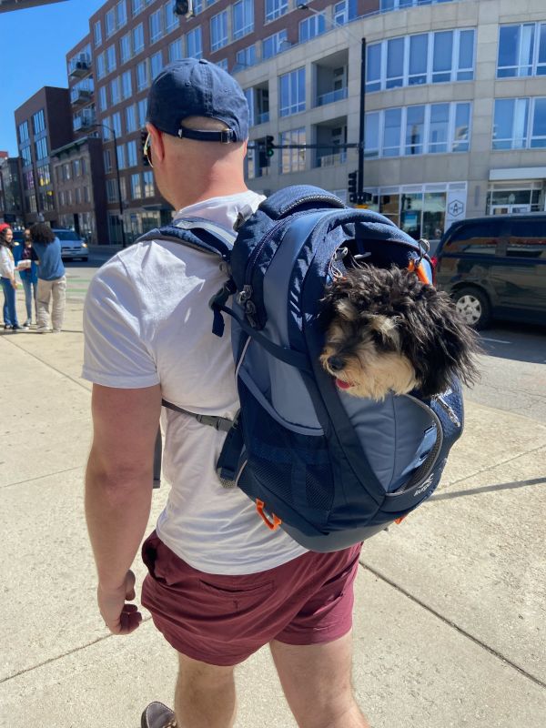 Luke & Mojo on a City Adventure