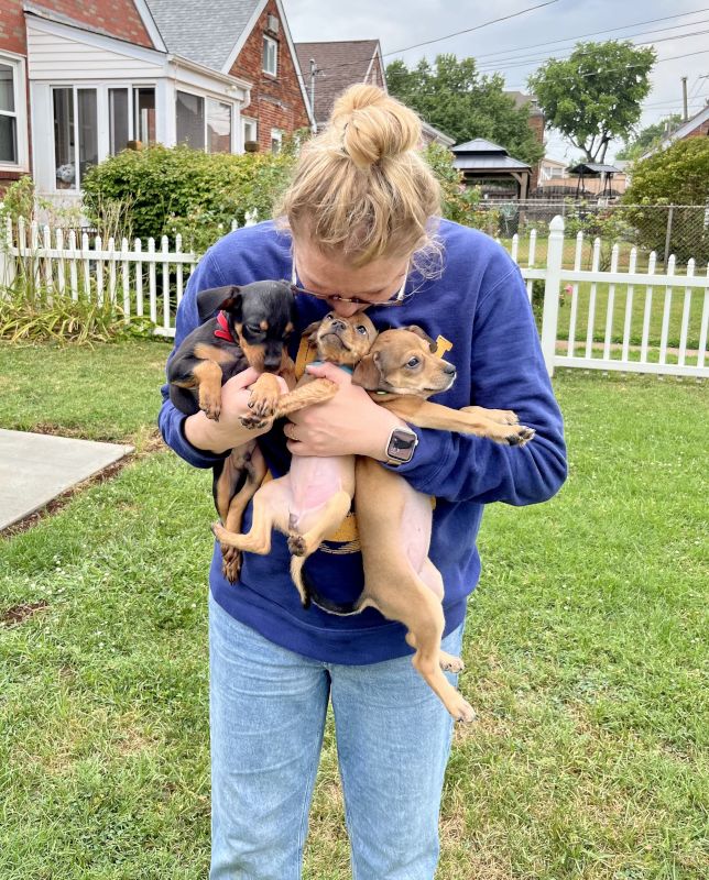 Snuggling Foster Puppies