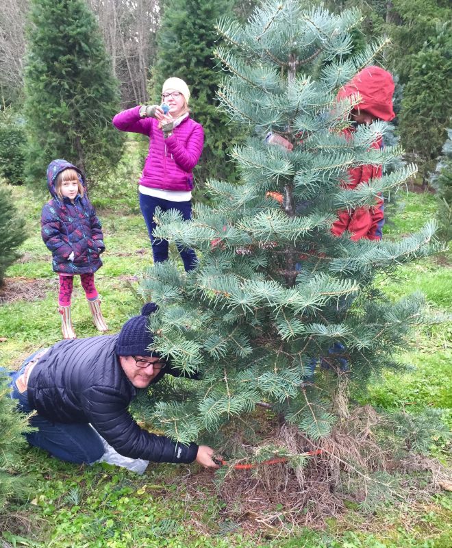 Cutting Down Our Christmas Tree With Friends