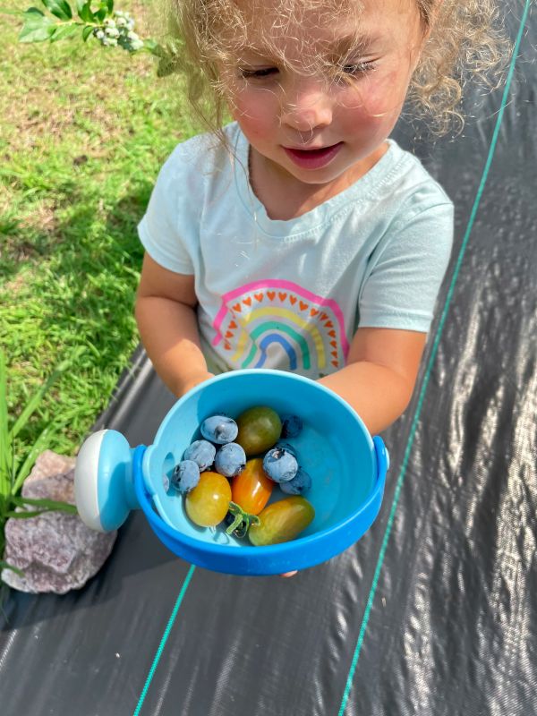 Garden Fun