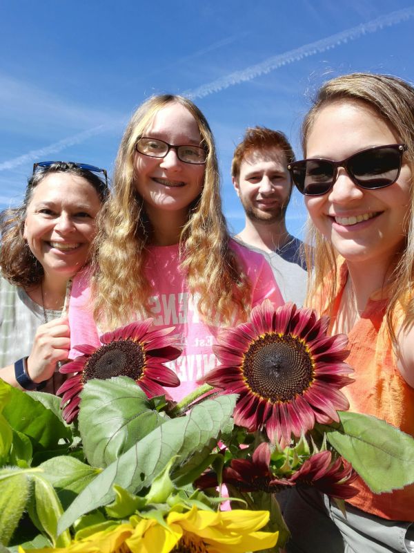 Picking Sunflowers With Family