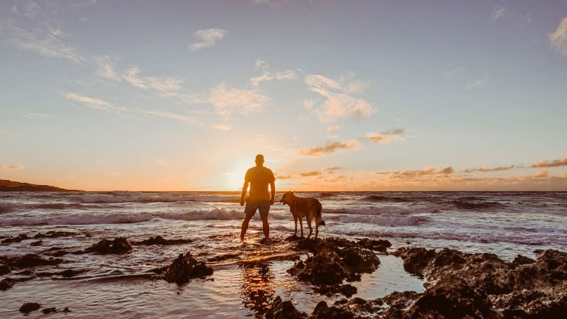 Brant & Atlas at the Beach