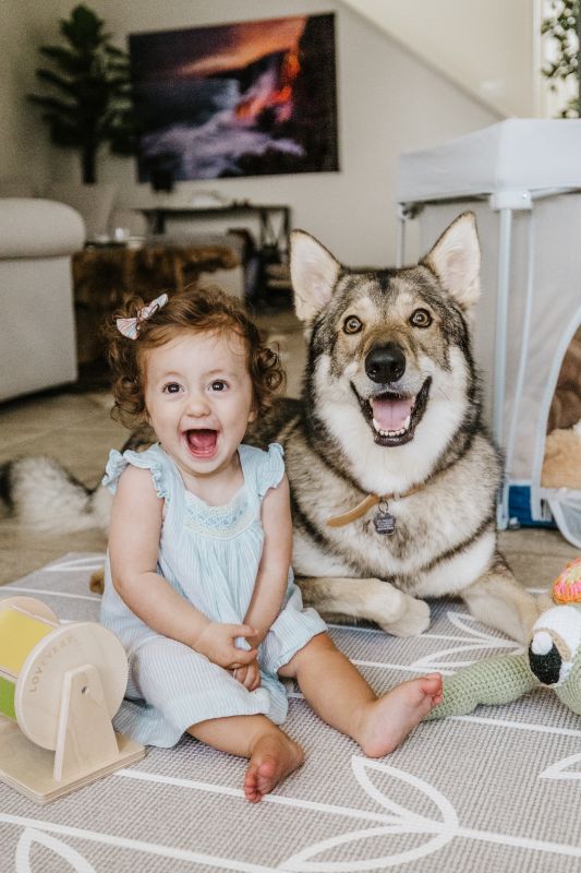 Luna & Our Pup, Atlas