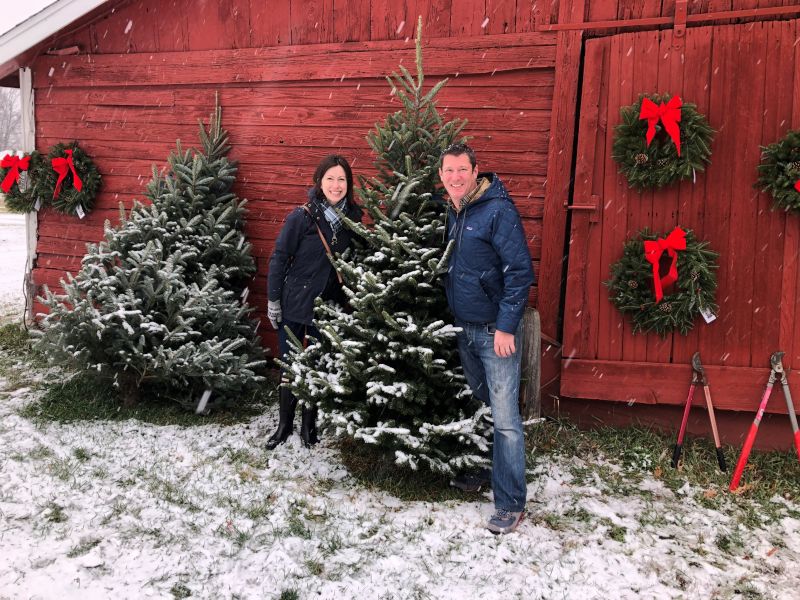 On the Hunt for the Perfect Christmas Tree