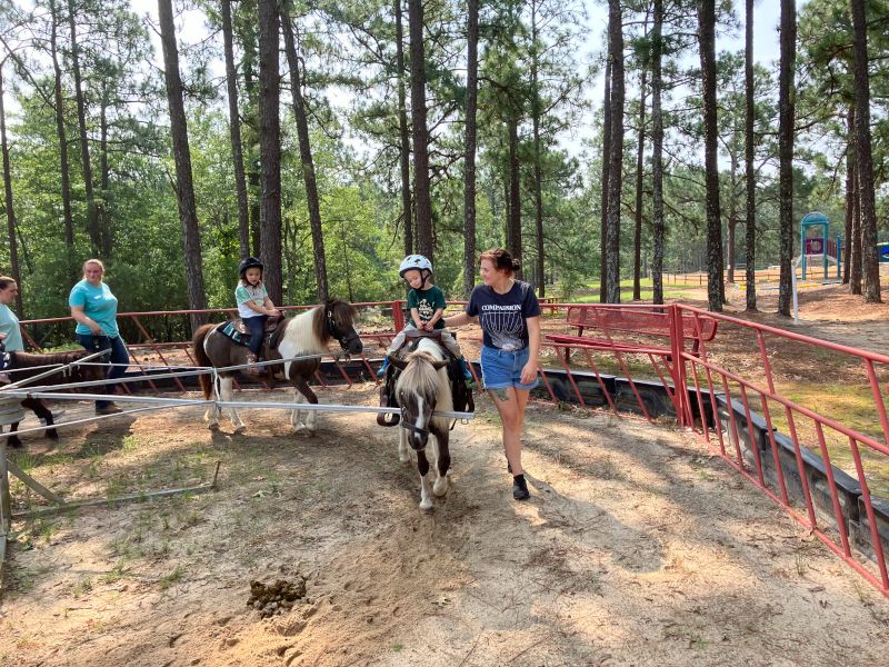 Megan Hosted a Farm Day for Her Local Moms Club Where the Kids Got to Ride Ponies