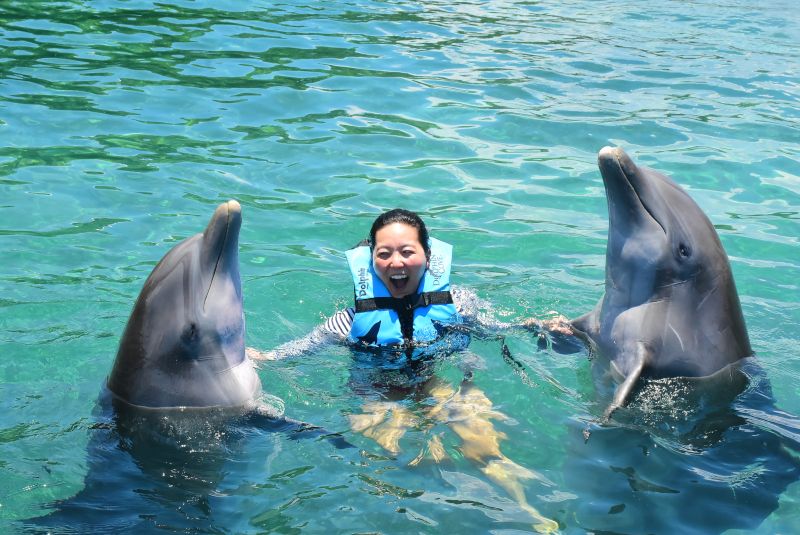 Swimming With Dolphins