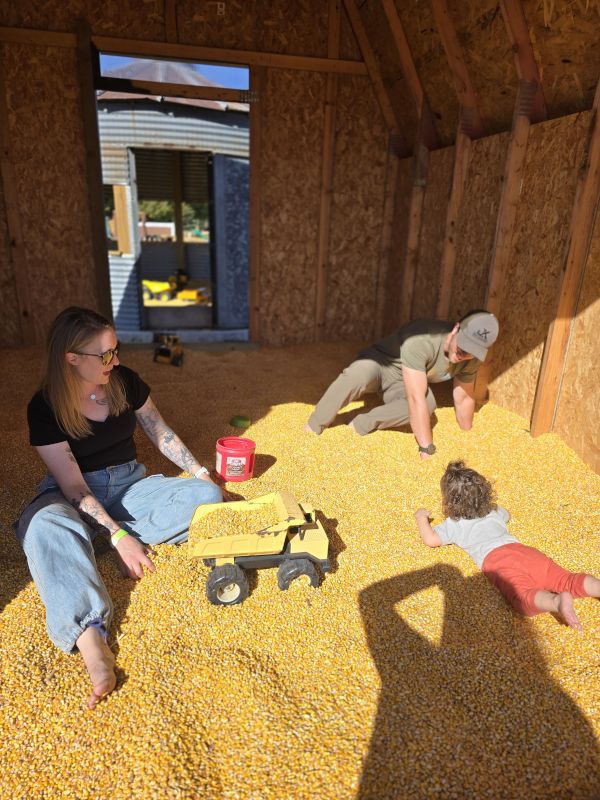 Corn Bin Fun