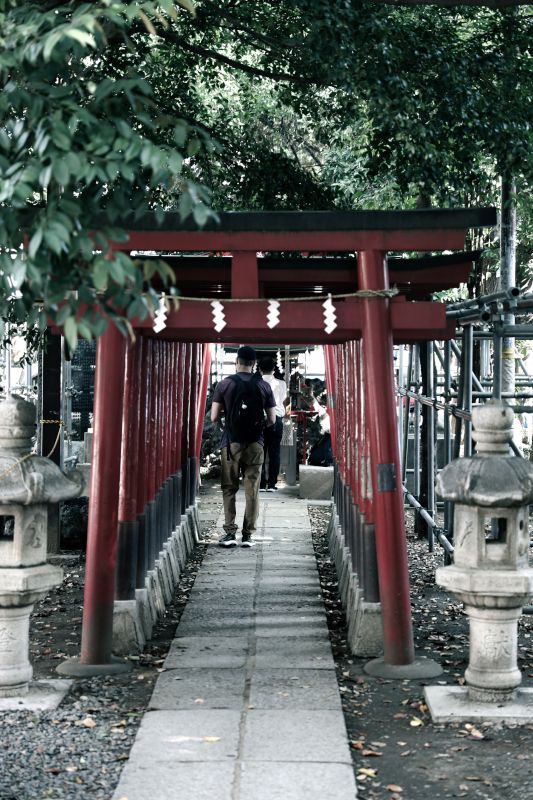 Scott Exploring Japan