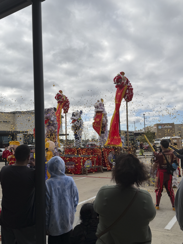 Lion Dance Performance for Lunar New Year