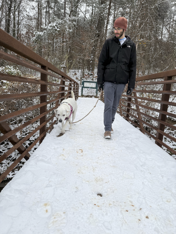 Walking In The Snow