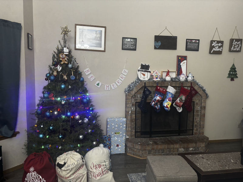 Our Cozy Christmas Living Room