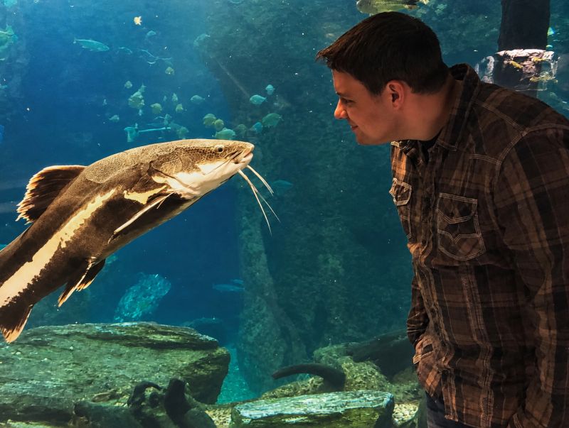 Exploring the Aquarium