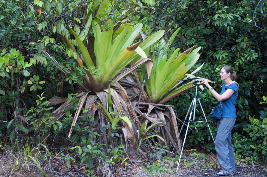 Beth Recording Frogs in Guyana