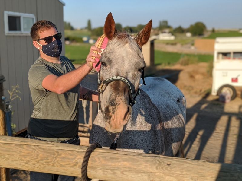 Ethan Grooming a Therapy Horse at a Charity He Volunteers With