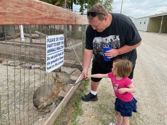 Feeding the Animals at the Petting Zoo