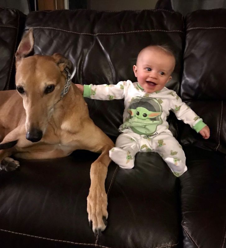 Pals