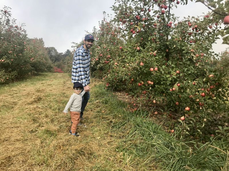 A Day at the Orchard
