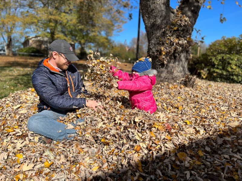 Playing in the Leaves